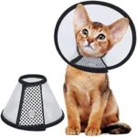 Elizabeth E-Collar for Cat Size NO-6