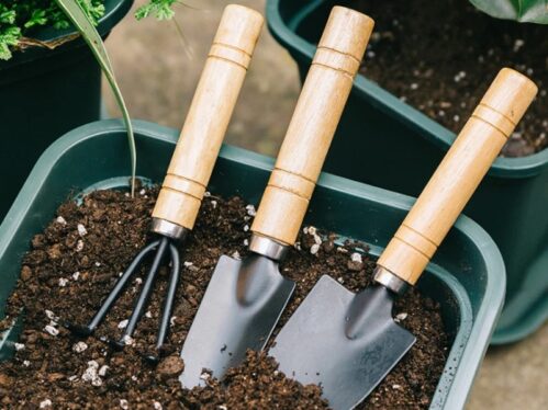 3-Piece Mini Garden Tool Set – Shovel, Rake, Spade with Wooden Handles for Plants & Weeding