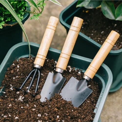 3-Piece Mini Garden Tool Set – Shovel, Rake, Spade with Wooden Handles for Plants & Weeding