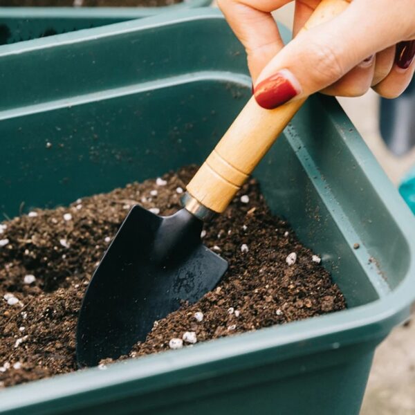 3-Piece Mini Garden Tool Set – Shovel, Rake, Spade with Wooden Handles for Plants & Weeding - Image 3